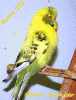 berta_t1.gif